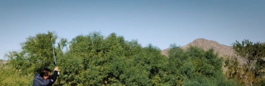 CL Laskowski Cover Image