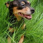 Peter B Profile Picture