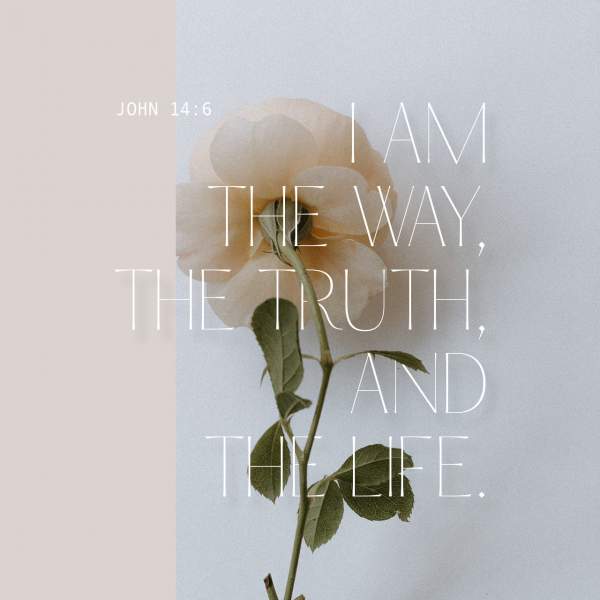 John 14:6 Jesus told him, “I am the way, the truth, and the life. No one can come to the Father except through me. | New Living Translation (NLT) | Download The Bible App Now