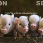 Maggie Heinzel Profile Picture