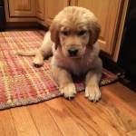 JM McKeever Profile Picture