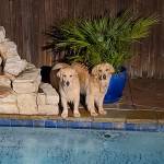 warfam Profile Picture