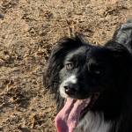 Michelle Neisler Profile Picture