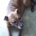 Karen Frutiger Profile Picture