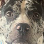 Sim Kimbro Profile Picture