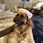 Dayslikemine123 Profile Picture