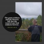 Linda Hack Profile Picture