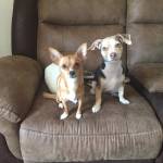 Stephanie Hughes Profile Picture