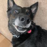 r fosnight Profile Picture