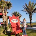 Judy Shaffer Profile Picture