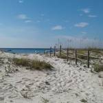 sherry Profile Picture