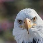 marysklingler Profile Picture