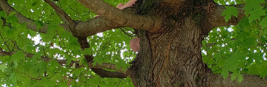 Michael Stricker Cover Image