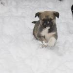 Gloria Burkhart Profile Picture