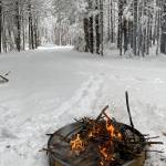 Sue Astran Profile Picture