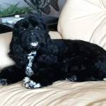 Plmessick Profile Picture