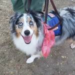 Zarwyn Danner Profile Picture