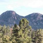 Cindy Locklin Profile Picture