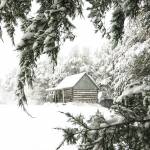 ElizabethDeaton Profile Picture