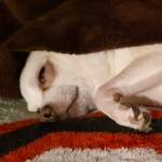 Jerry Wright Profile Picture