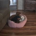 Sbkeylow Profile Picture