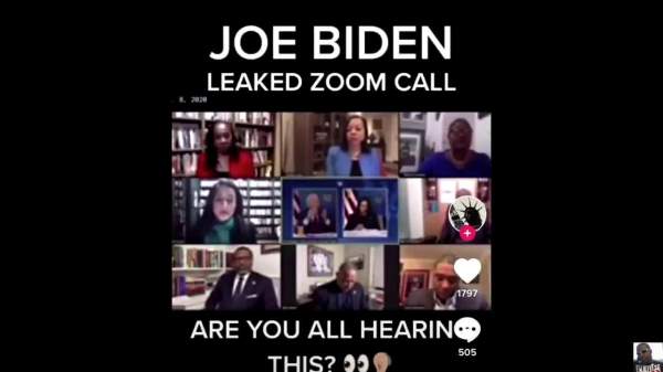 Biden's leaked Zoom call