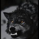 Mike Hildreth Profile Picture