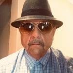 Michael Di Dio Profile Picture