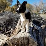 Marty Avalos Profile Picture