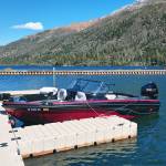 Ron Roche Profile Picture