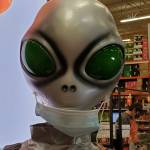 GaryEveritt Profile Picture