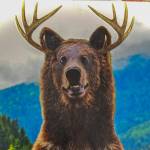 Mac Harris Profile Picture