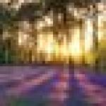 Sidonie Jordan Profile Picture