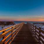 MandieOlvey Profile Picture