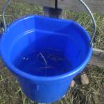 Terry O Profile Picture