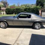 Debbie Fadenholz Profile Picture