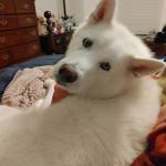 JCS1385 Profile Picture