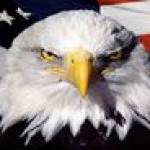 David Yurko Profile Picture