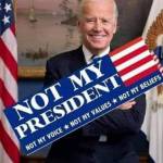 Melissa T Profile Picture