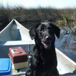 Shadowjag Profile Picture