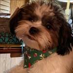 Markhector Profile Picture