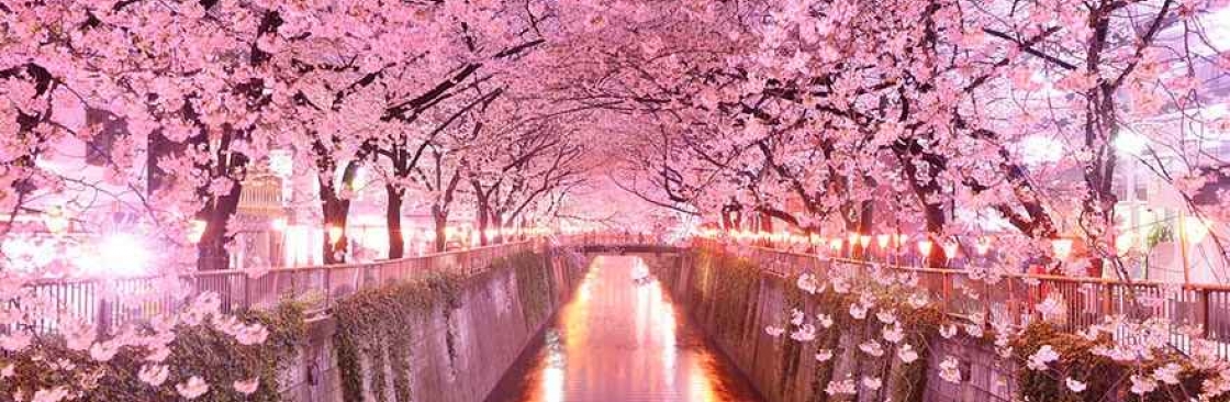 Micki Todd Cover Image