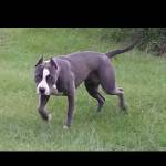 JCooper Profile Picture