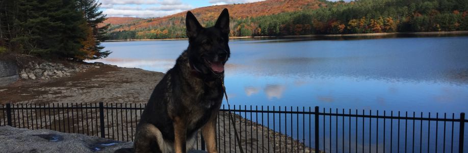 Dana Petkaitis Cover Image