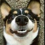 Juanita DeMello Profile Picture