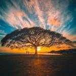 Alta Thrasher Profile Picture