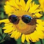 Joy Polatty Profile Picture