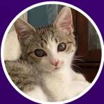Joy Johnson Profile Picture