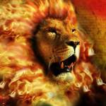 Susan Adkins Profile Picture