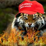 Federalist Tiger Profile Picture